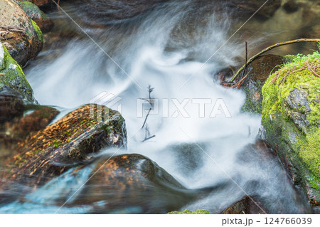 京都鞍馬の清流　鞍馬川　京都市 124766039