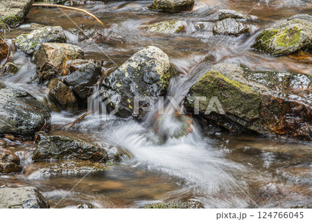京都鞍馬の清流　鞍馬川　京都市 124766045