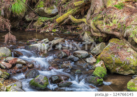京都鞍馬の清流 鞍馬川 京都市 京都鞍馬の清流 鞍馬川 京都市 124766145
