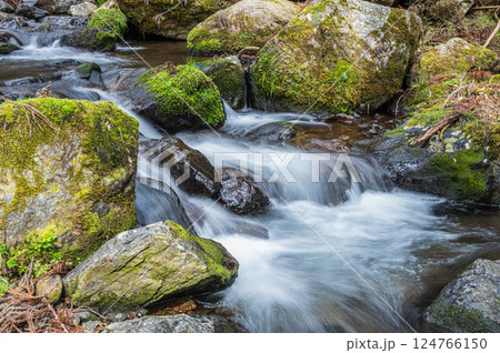 京都鞍馬の清流 鞍馬川 京都市 京都鞍馬の清流 鞍馬川 京都市 124766150