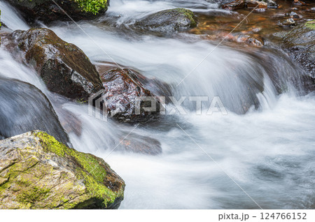 京都鞍馬の清流　鞍馬川　京都市 124766152
