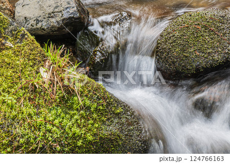 京都鞍馬の清流 鞍馬川 京都市 京都鞍馬の清流 鞍馬川 京都市 124766163