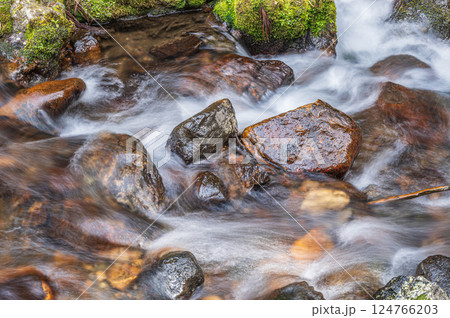 京都鞍馬の清流　鞍馬川　京都市 124766203