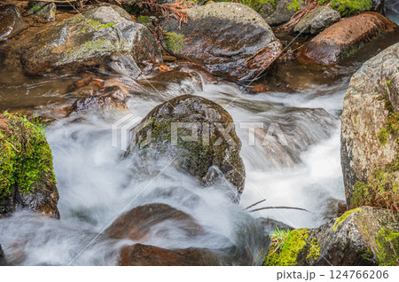 京都鞍馬の清流 鞍馬川 京都市 京都鞍馬の清流 鞍馬川 京都市 124766206