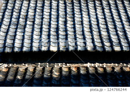 瀬戸内海に浮かぶ小さな島の家屋の屋根 124766244