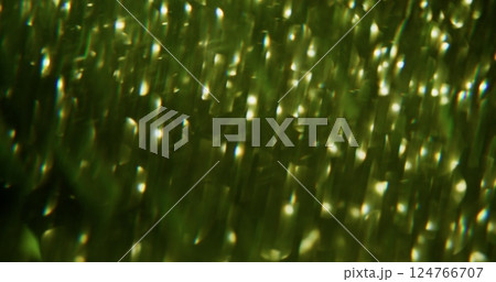 Sparkling lights. Defocused festive atmosphere. Green color liquid flying on blurred dark black abstract modern background with bokeh effect. 124766707