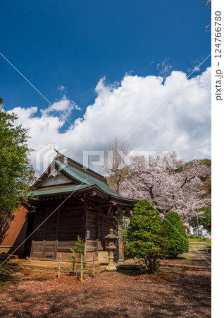 桜が咲く石座神社の風景　鶴巻温泉 124766780