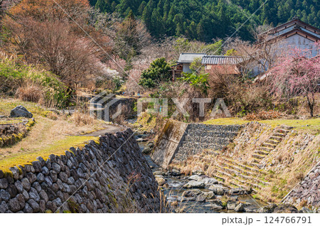 鞍馬集落そばを流れる清流　鞍馬川　京都市 124766791