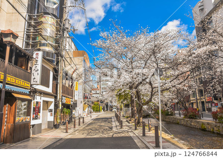 京都市　桜の高瀬川と木屋町周辺の街並み 124766844