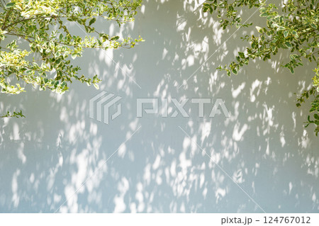 白い壁の上部コーナーに木の枝がある背景画像 124767012