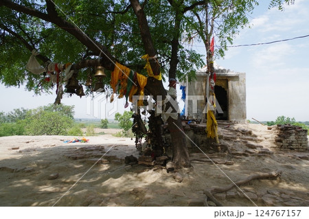 インド　仏教八大聖地　サンカーシャ 124767157