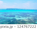 沖縄の青い海 124767222