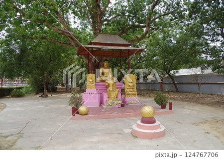 インド 仏教四大聖地 サールナート インド 仏教四大聖地 サールナート 124767706