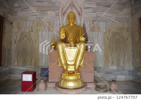インド　仏教四大聖地　サールナート 124767707