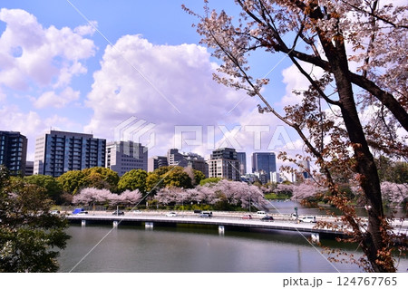 桜 お濠 首都高 桜 お濠 首都高 124767765