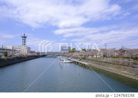 浦安市　春の境川　桜　浦安市役所 124768198