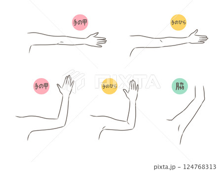 腕のパーツイラストセット 124768313