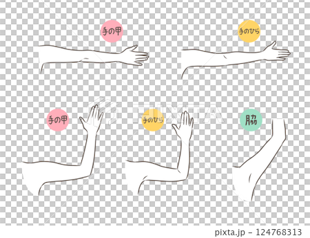 Arm parts illustration set 124768313