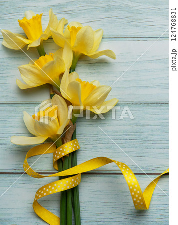 Yellow daffodils with ribbon lying on blue wooden background Yellow daffodils with ribbon lying on blue wooden background 124768831