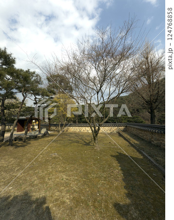 The quiet shadows and natural textures of hanok invite you into a space of peace and nostalgia. 124768858