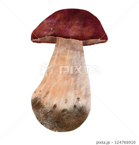 Edible aspen mushroom, handmade digital illustration on a white background. An element for the design of postcards, invitations, packaging Edible aspen mushroom, handmade digital illustration on a white background. An element for the design of postcards, invitations, packaging 124768910