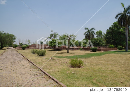 インド　仏教八大聖地　サヘート遺跡 124768940