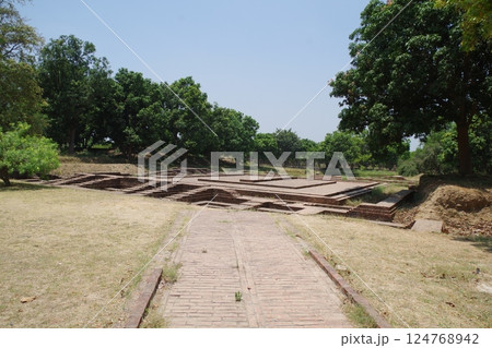 インド 仏教八大聖地 サヘート遺跡 インド 仏教八大聖地 サヘート遺跡 124768942