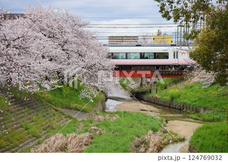 【高田千本桜 / 奈良県大和高田市】 【高田千本桜 / 奈良県大和高田市】 124769032