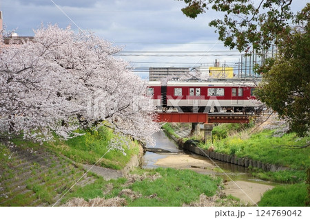 【高田千本桜 ／ 奈良県大和高田市】 124769042