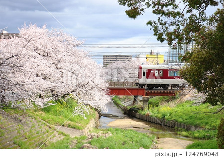 【高田千本桜 ／ 奈良県大和高田市】 124769048