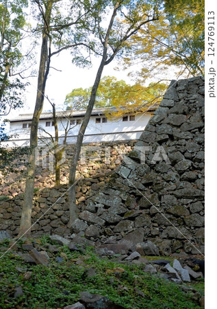 宇和島城 旧山里倉庫と藤兵衛丸跡の石垣 124769113