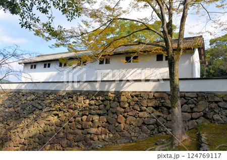 宇和島城 旧山里倉庫と藤兵衛丸跡の石垣 124769117