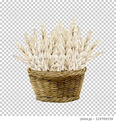 Ears of wheat bouquet in vintage brown wicker basket watercolor isolated illustration. Autumn harvest hand drawn clipart for Jewish Shavuot designs, bakery and home products or farm cooking book Ears of wheat bouquet in vintage brown wicker basket watercolor isolated illustration. Autumn harvest hand drawn clipart for Jewish Shavuot designs, bakery and home products or farm cooking book 124769156
