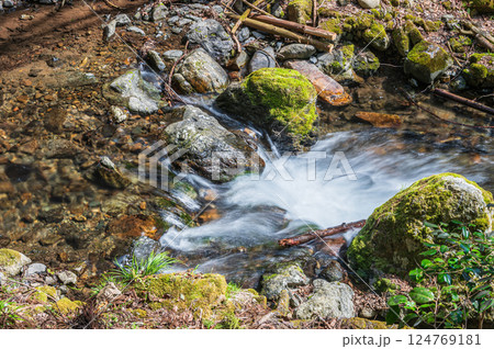 京都鞍馬の清流　鞍馬川　京都市 124769181