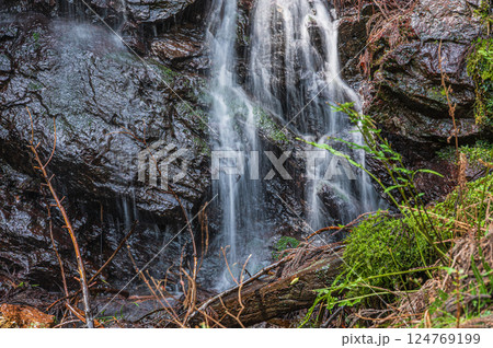 山林の中の小さな滝 京都市鞍馬 山林の中の小さな滝 京都市鞍馬 124769199