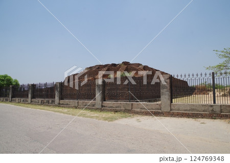 インド　仏教八大聖地　マヘート遺跡 124769348