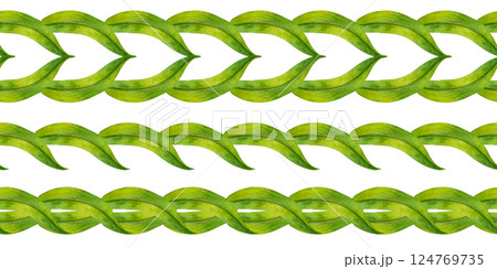 Green, symmetrical, twisted vines, leaves in vignette. Seamless border template. Watercolor illustration, elegant, nature-inspired, for wedding invitations, botanical designs or eco branding accents 124769735