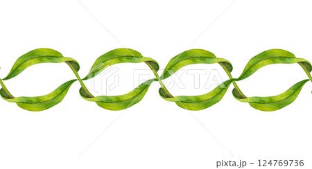 Green, symmetrical, twisted vines, leaves in vignette. Seamless border template. Watercolor illustration, elegant, nature-inspired, for wedding invitations, botanical designs or eco branding accents 124769736