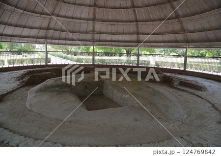 インド 仏教八大聖地 ヴァイシャリ インド 仏教八大聖地 ヴァイシャリ 124769842