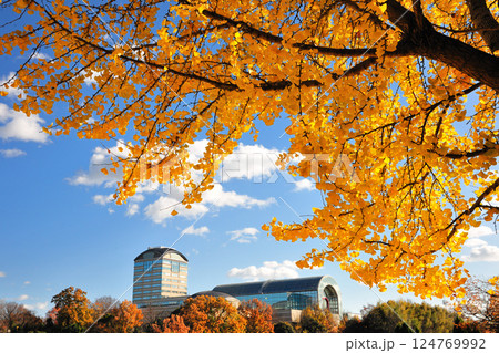 あいち健康の森公園の紅葉 124769992