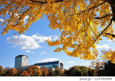 あいち健康の森公園の紅葉 あいち健康の森公園の紅葉 124769994
