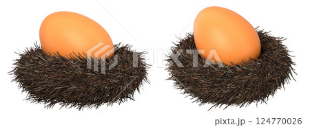 Brown eggs in bird nests isolated on white transparent background. 124770026