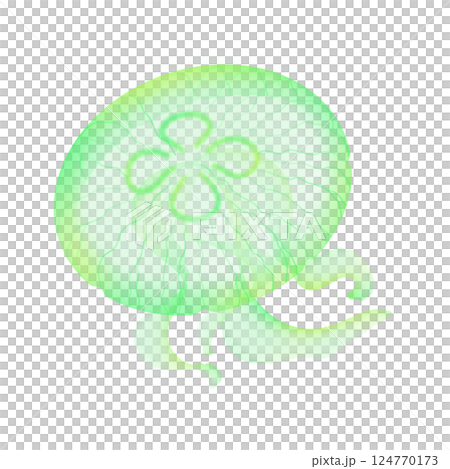 Moon jellyfish_Green Moon jellyfish_Green 124770173