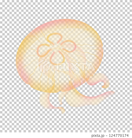 海月水母_黃色 124770174