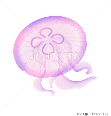 ミズクラゲ_桃色 124770175