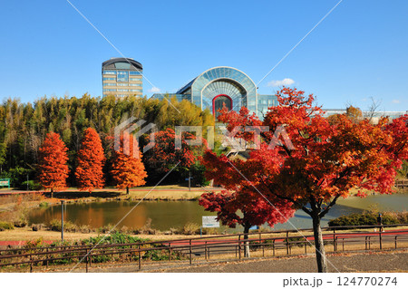 あいち健康の森公園の紅葉 あいち健康の森公園の紅葉 124770274