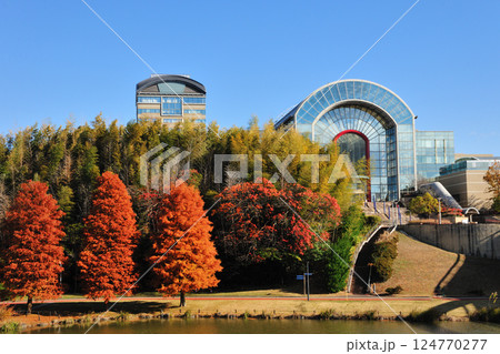 あいち健康の森公園の紅葉 あいち健康の森公園の紅葉 124770277