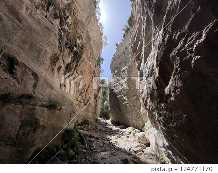 Beautiful Avakas Gorge valley during trekking on Cyprus island. 124771170