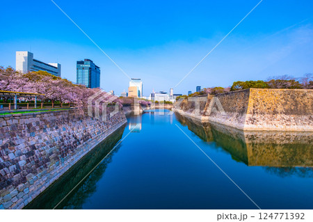 大阪城の南外濠と桜並木 124771392