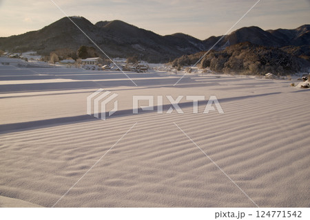 三河内の棚田雪景色　朝 124771542